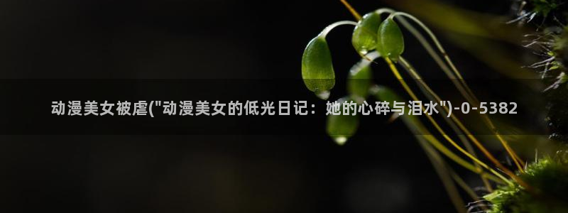 黑暗圣经动漫