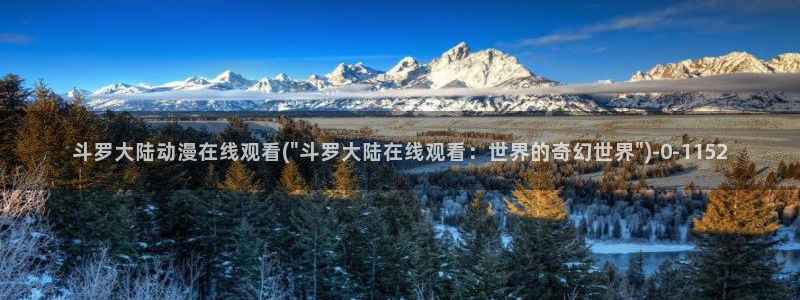 奇奇动漫网
