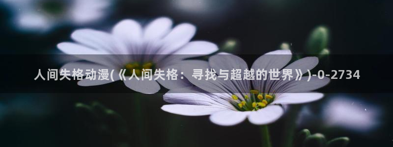 看动漫的网站